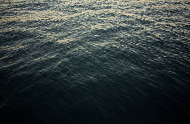 metzler on the sea 1